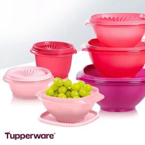 NEW Tupperware Set of  16 Pink and Red Storage Bowls